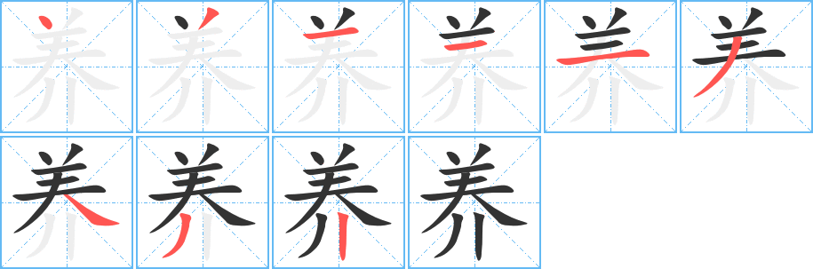 养的笔顺分步演示