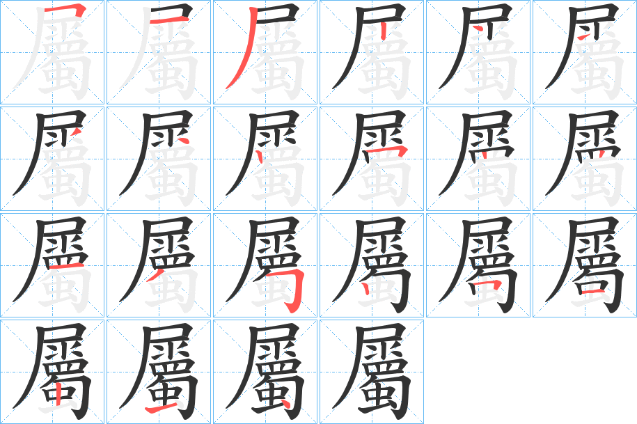 屬的笔顺分步演示