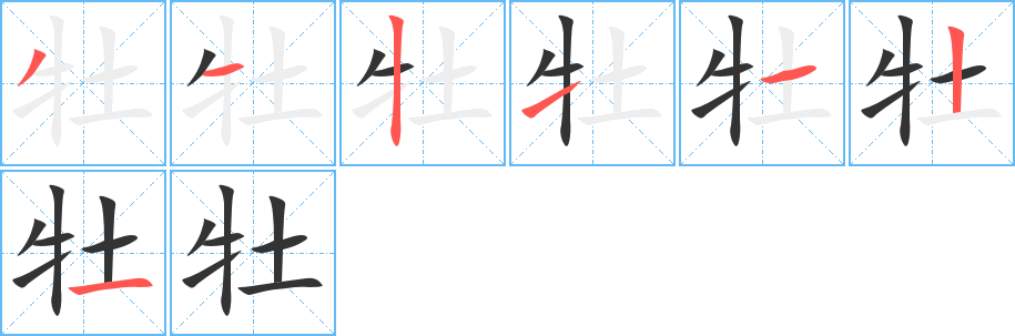 牡的笔顺分步演示