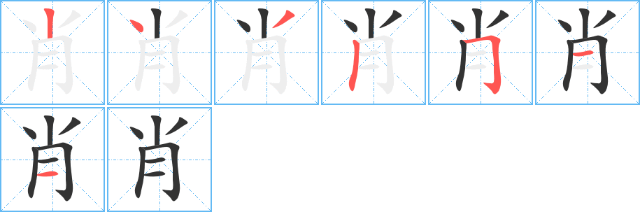 肖的笔顺分步演示