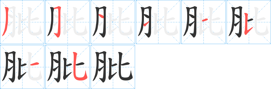 肶的笔顺分步演示