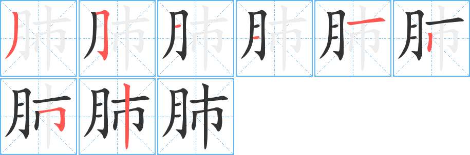 肺的笔顺分步演示