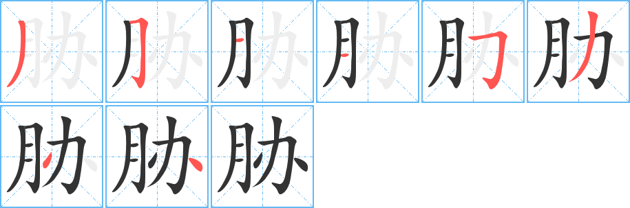 胁的笔顺分步演示