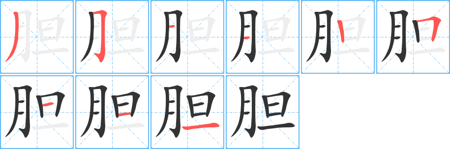 胆的笔顺分步演示