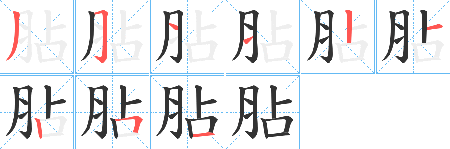 胋的笔顺分步演示