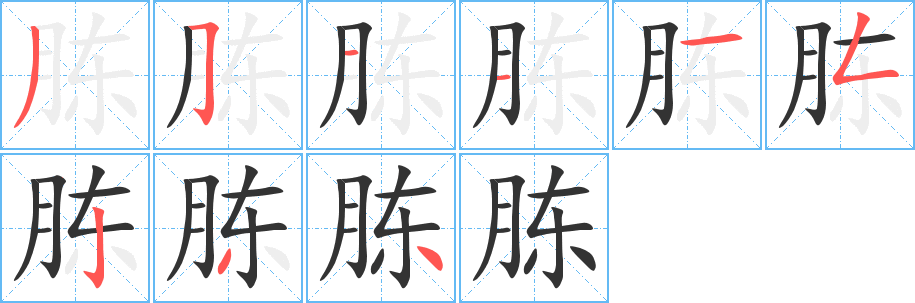 胨的笔顺分步演示