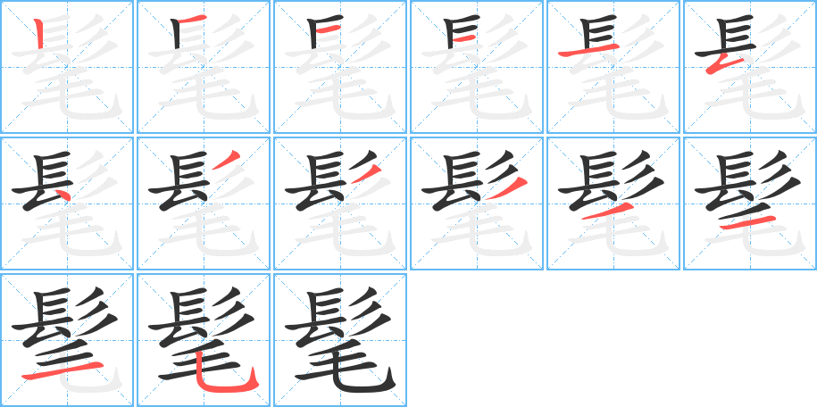 髦的笔顺分步演示