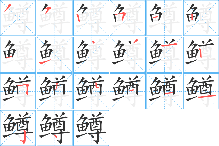 鳟的笔顺分步演示