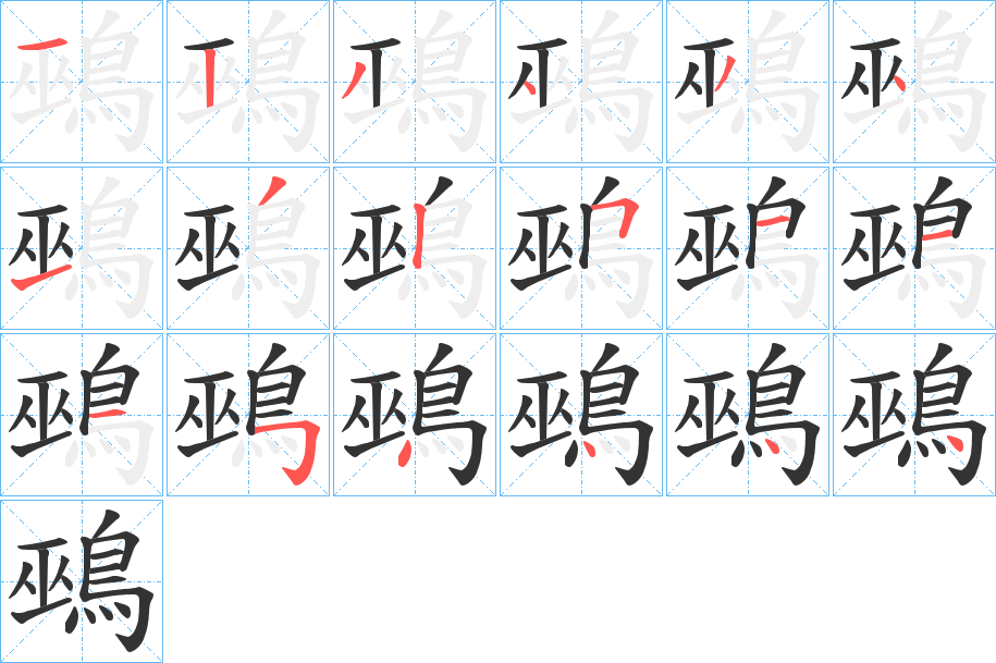 鵐的笔顺分步演示